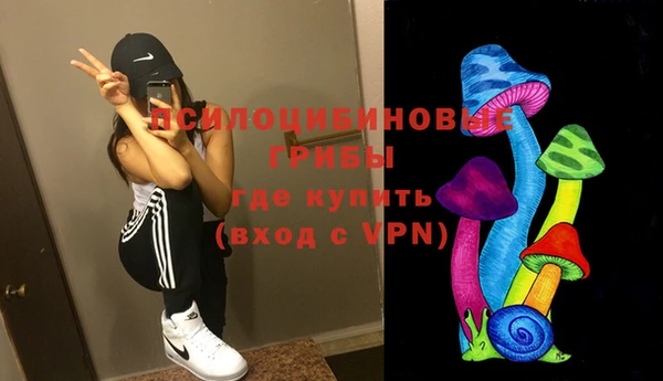 apvp Алзамай
