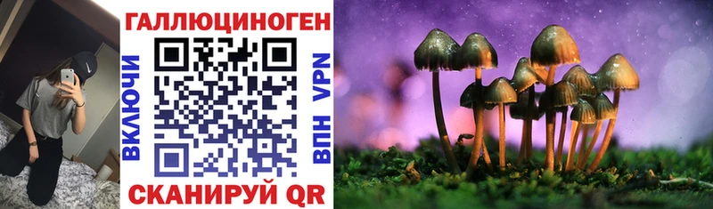 Галлюциногенные грибы ЛСД  blacksprut онион  Выкса  где купить наркотик 