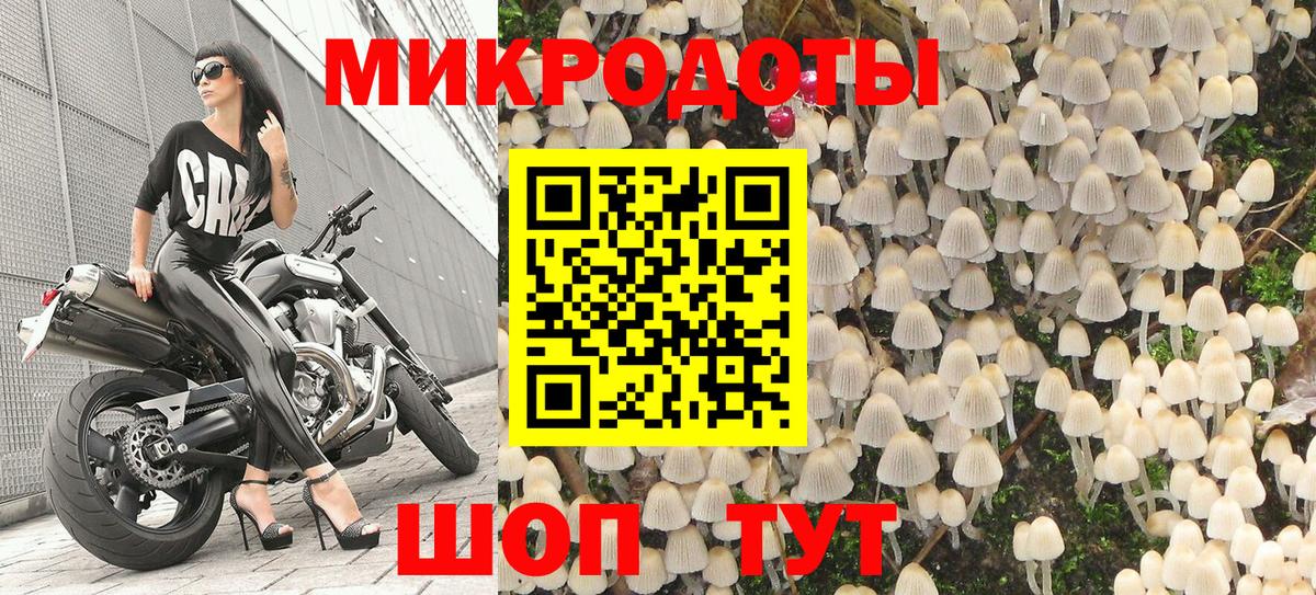 дарнет шоп  Псилоцибиновые грибы ЛСД  Вход с VPN  Выкса  Псилоцибиновые грибы GOLDEN TEACHER 